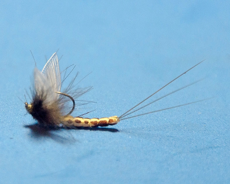 Grub hooks for extended body dry flies - The Fly Tying Bench - Fly Tying