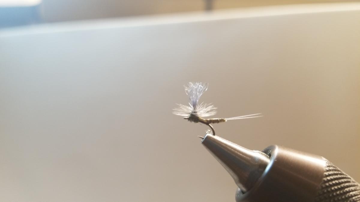 Grub hooks for extended body dry flies - The Fly Tying Bench - Fly Tying