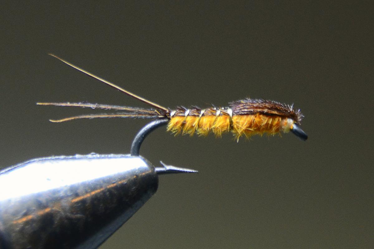nymphs pts  Fly Fishing Forum