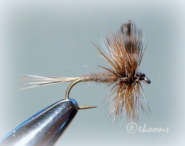 Beginner - purchased Grizzly Saddle Hackle- wrong kind? - Beginner's Corner  - Fly Tying