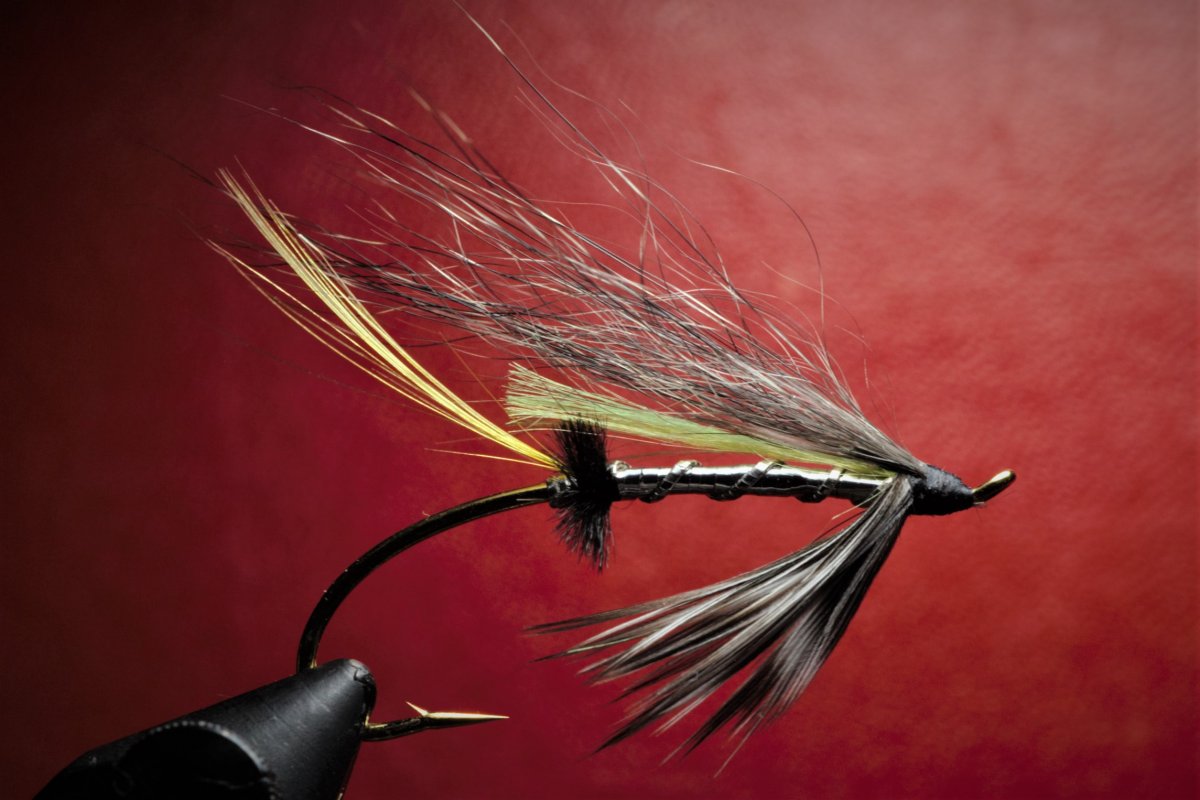 December Flies From the Vise - Page 7 - The Fly Tying Bench - Fly