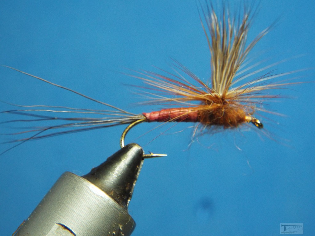 January 2019 Flies From the Vise - Page 11 - The Fly Tying Bench - Fly ...