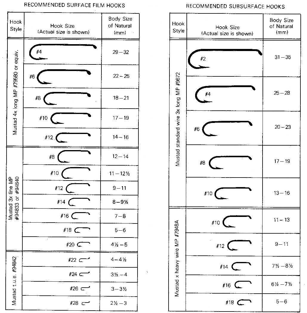 Printable Fly Size Chart - Printable Blank World