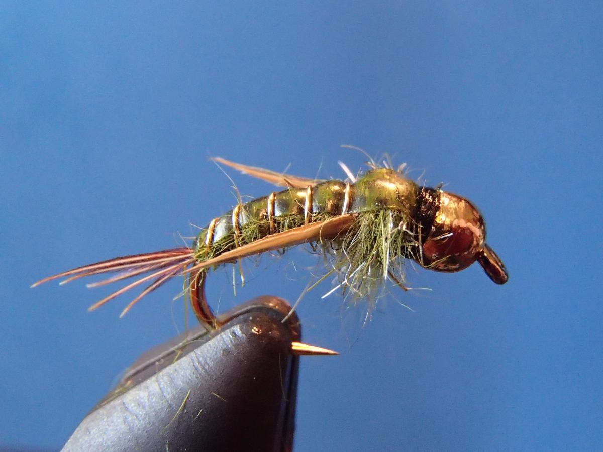 Evil Weevil - Step By Step Patterns & Tutorials - Fly Tying