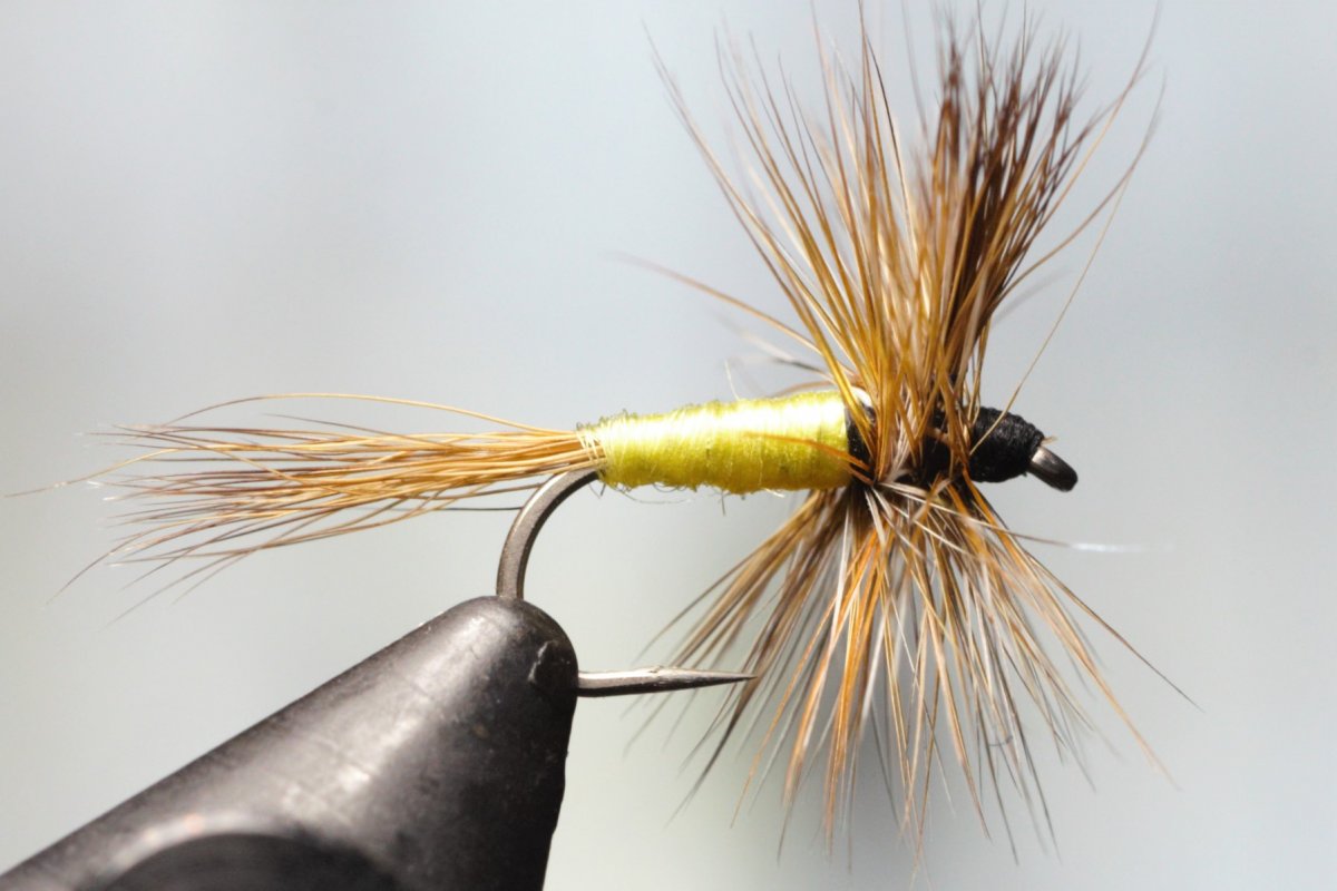 May Flies From the Vise - Page 26 - The Fly Tying Bench - Fly Tying